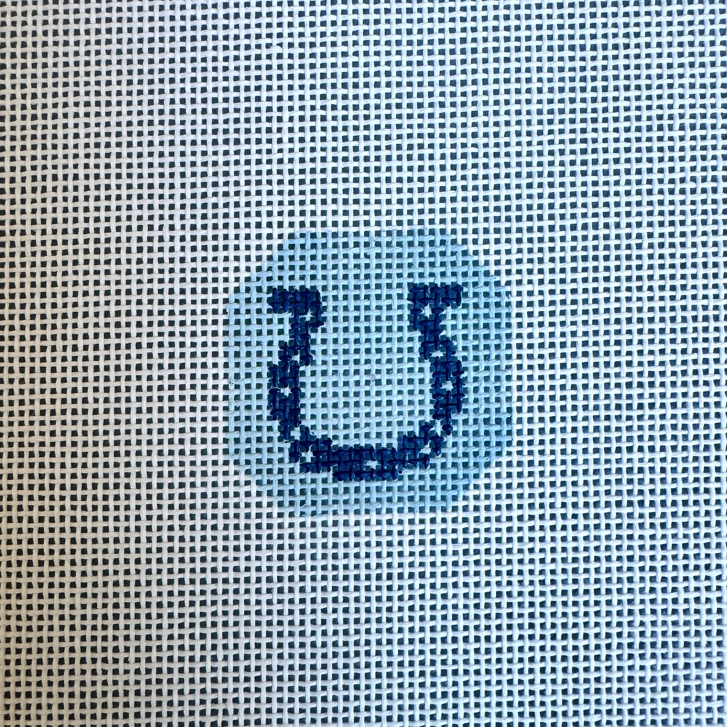 Lucky Horseshoe