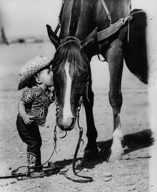 The Little Baby Shower Needlepoint Canvas Bundle